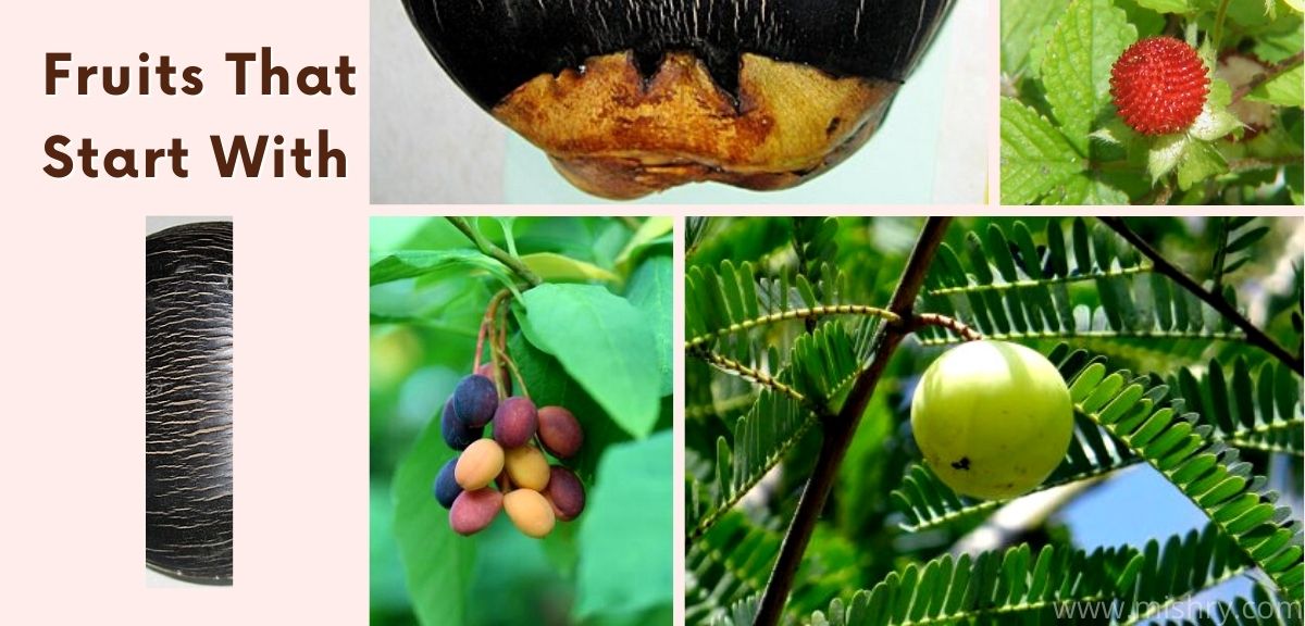 19 Fruits That Start With I (With Photos!)