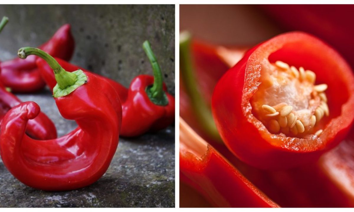 Paprika Vs Cayenne What Is The Difference