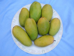 Ataulfo (mango) - Wikipedia