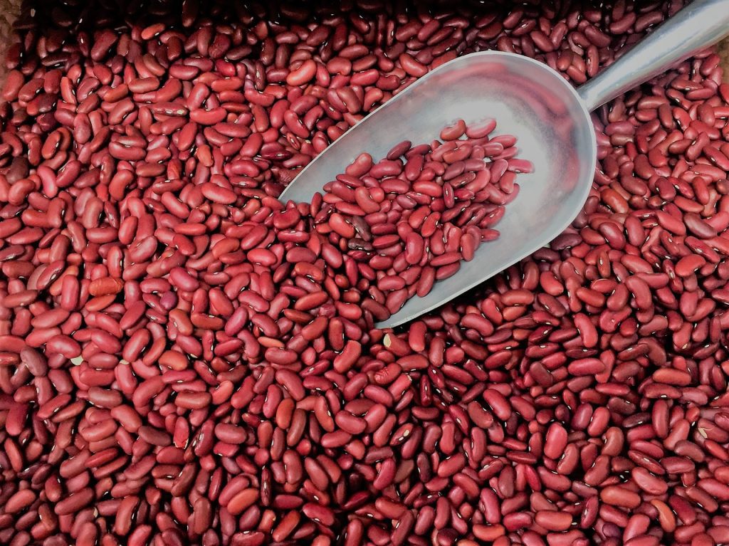 health benefits of kidney beans