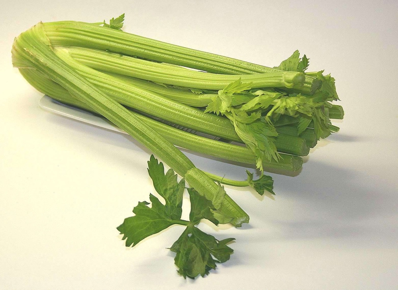 Substitute Coriander For Parsley at Scotty Owens blog