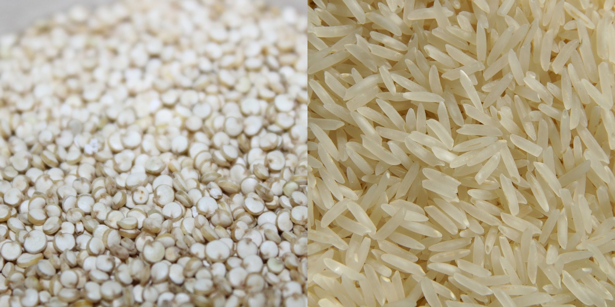 Quinoa Vs Rice: Differences And How To Use