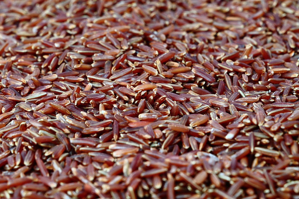 health benefits of brown rice