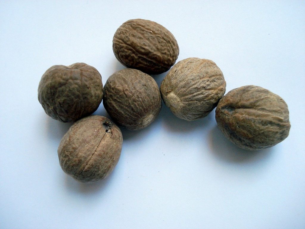 nutmeg as substitute for ground ginger