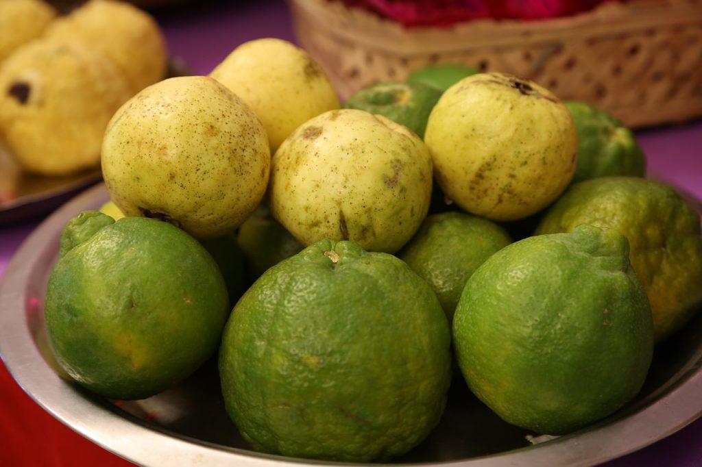 guava for weight loss