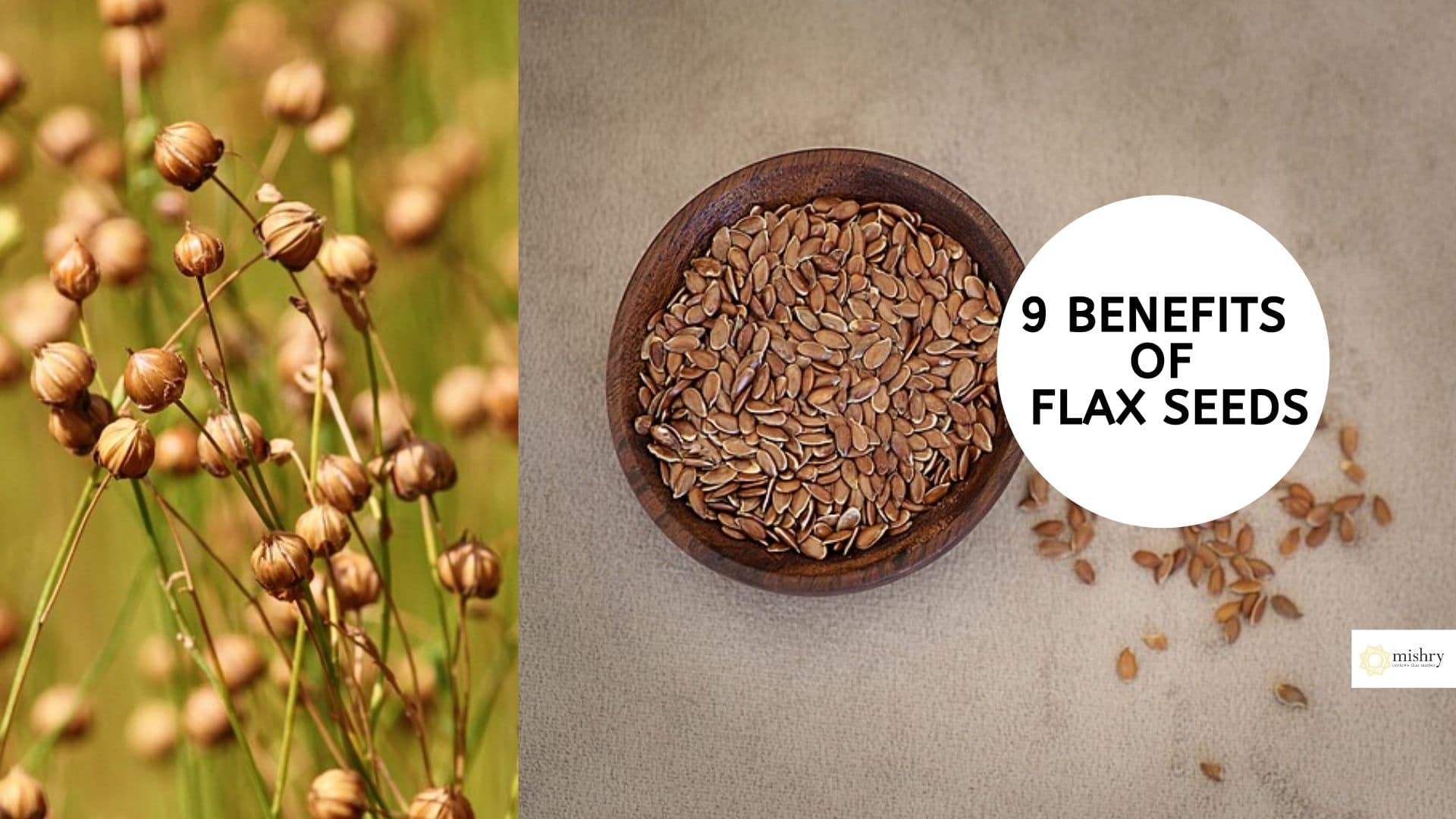9 benefits of flax seeds