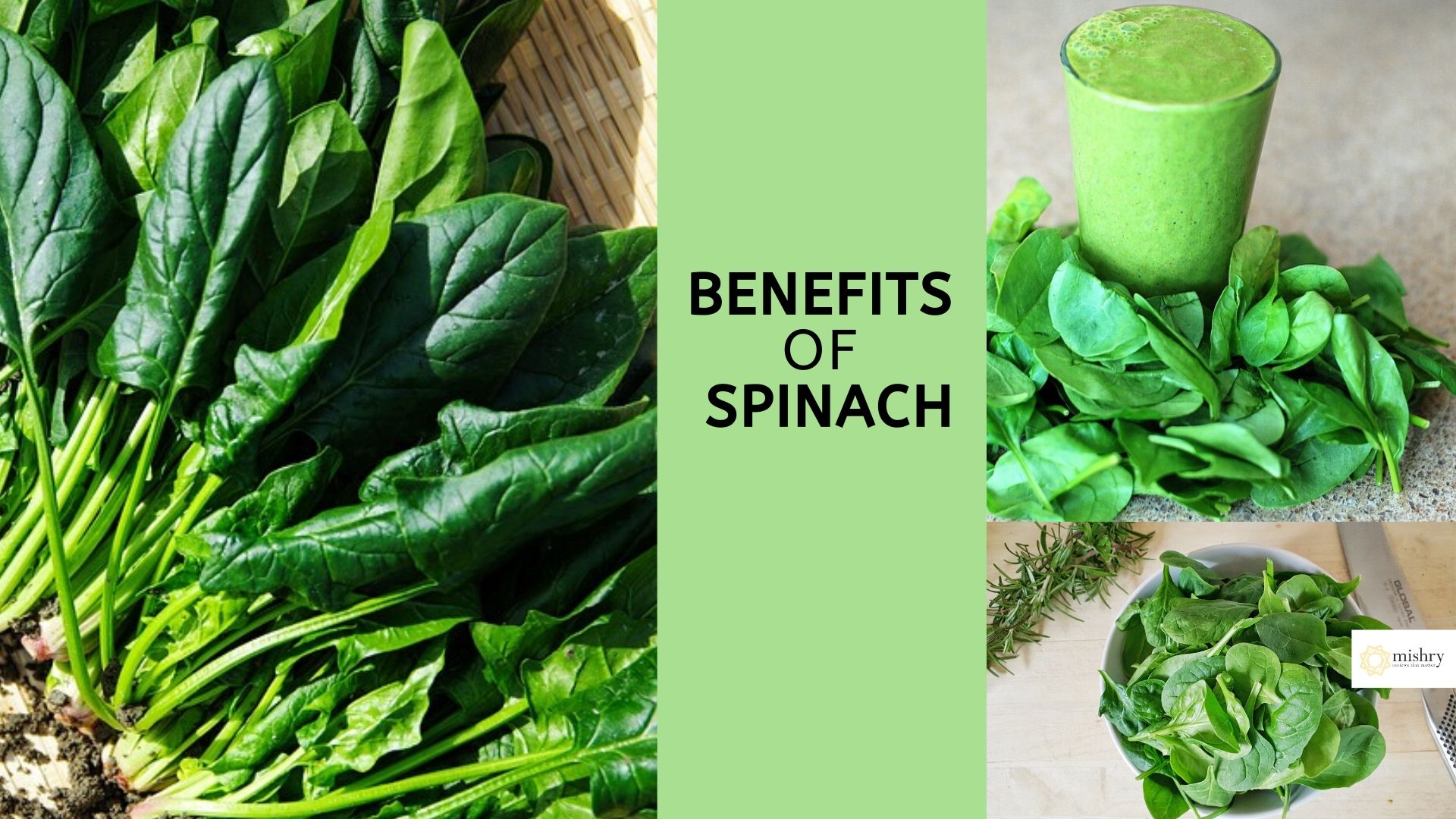 benefits of spinach_ all reasons to add palak to your daily diet
