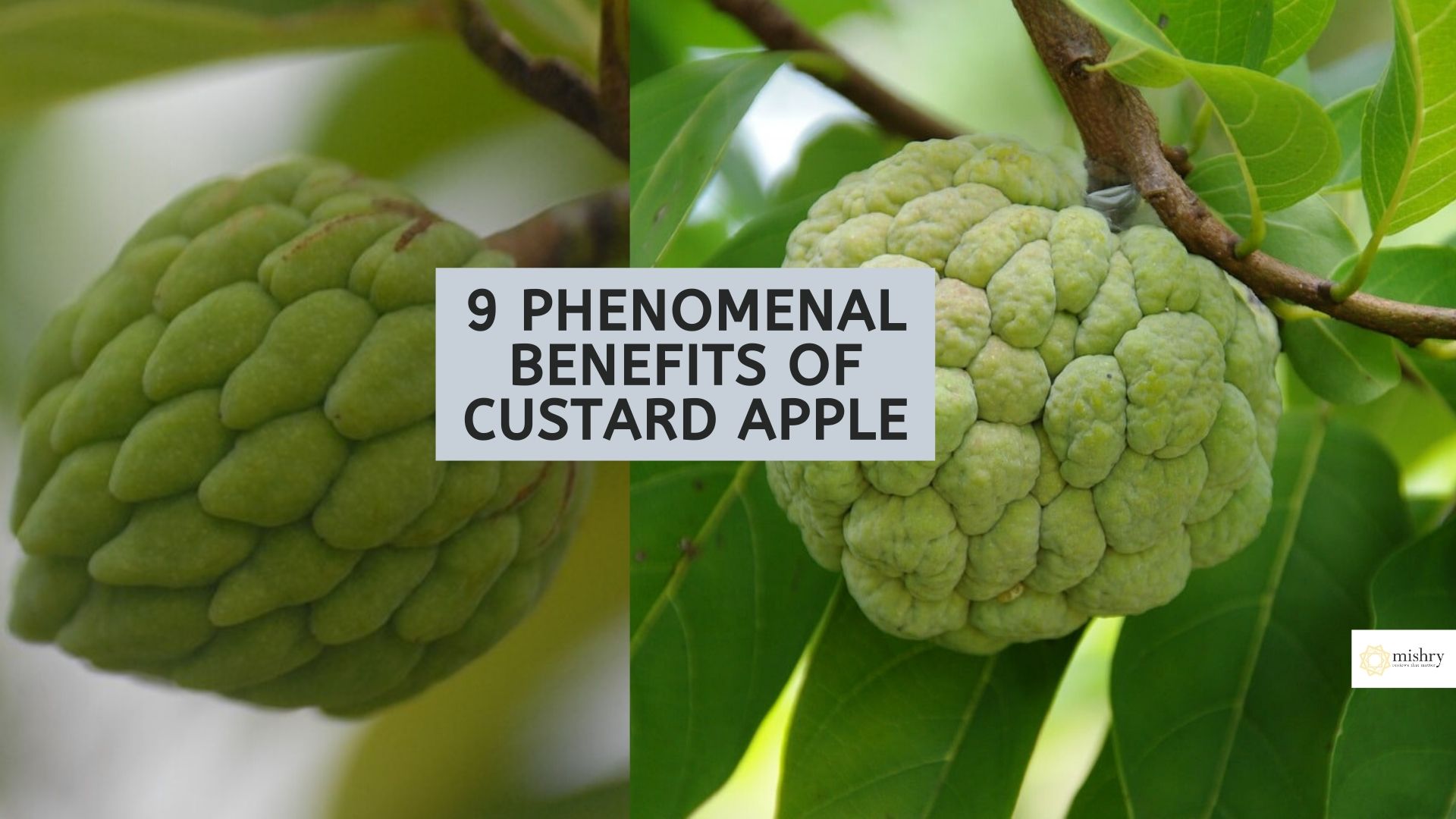 9 Phenomenal Benefits Of Custard Apple