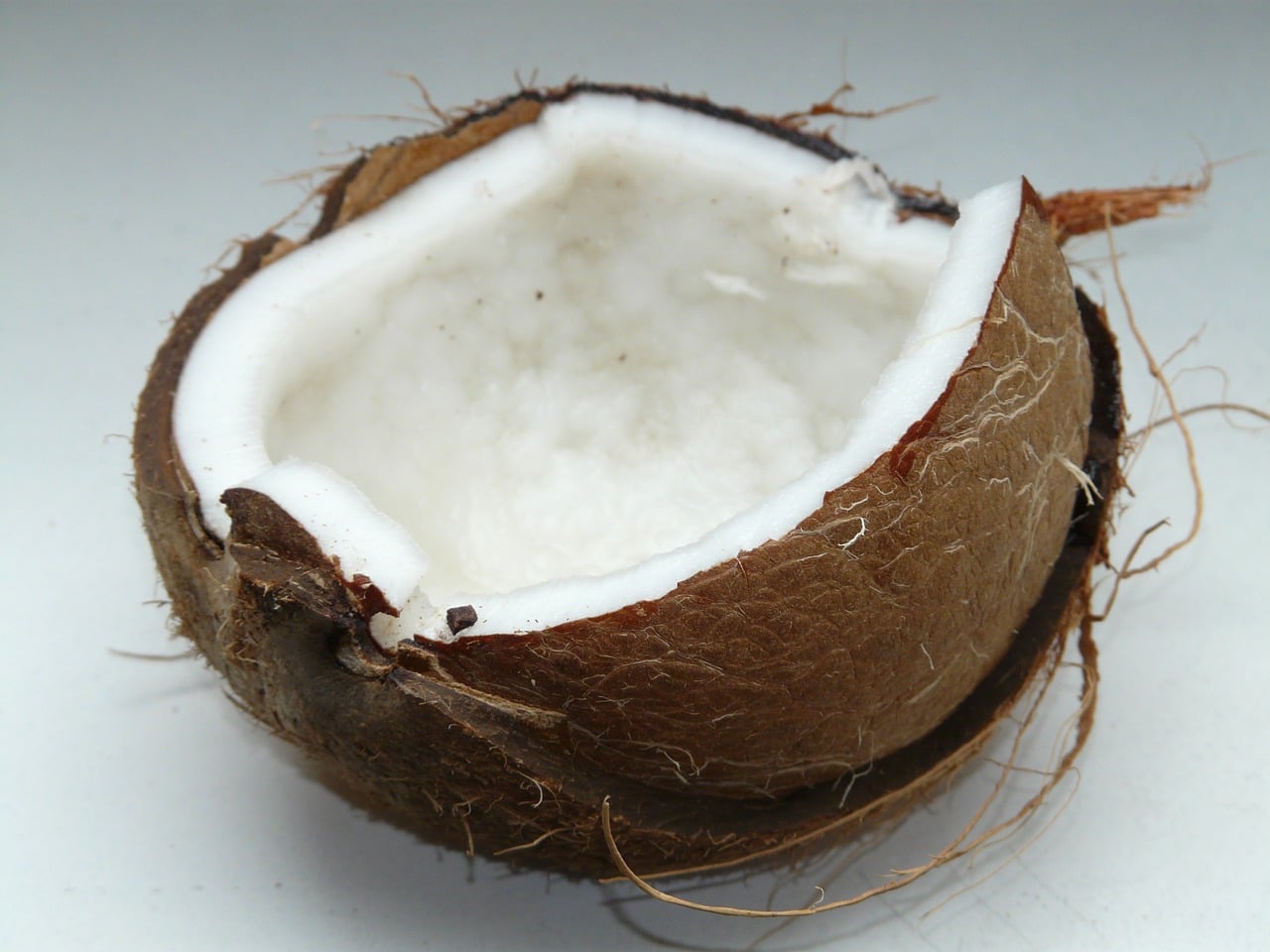 health benefits of coconut milk