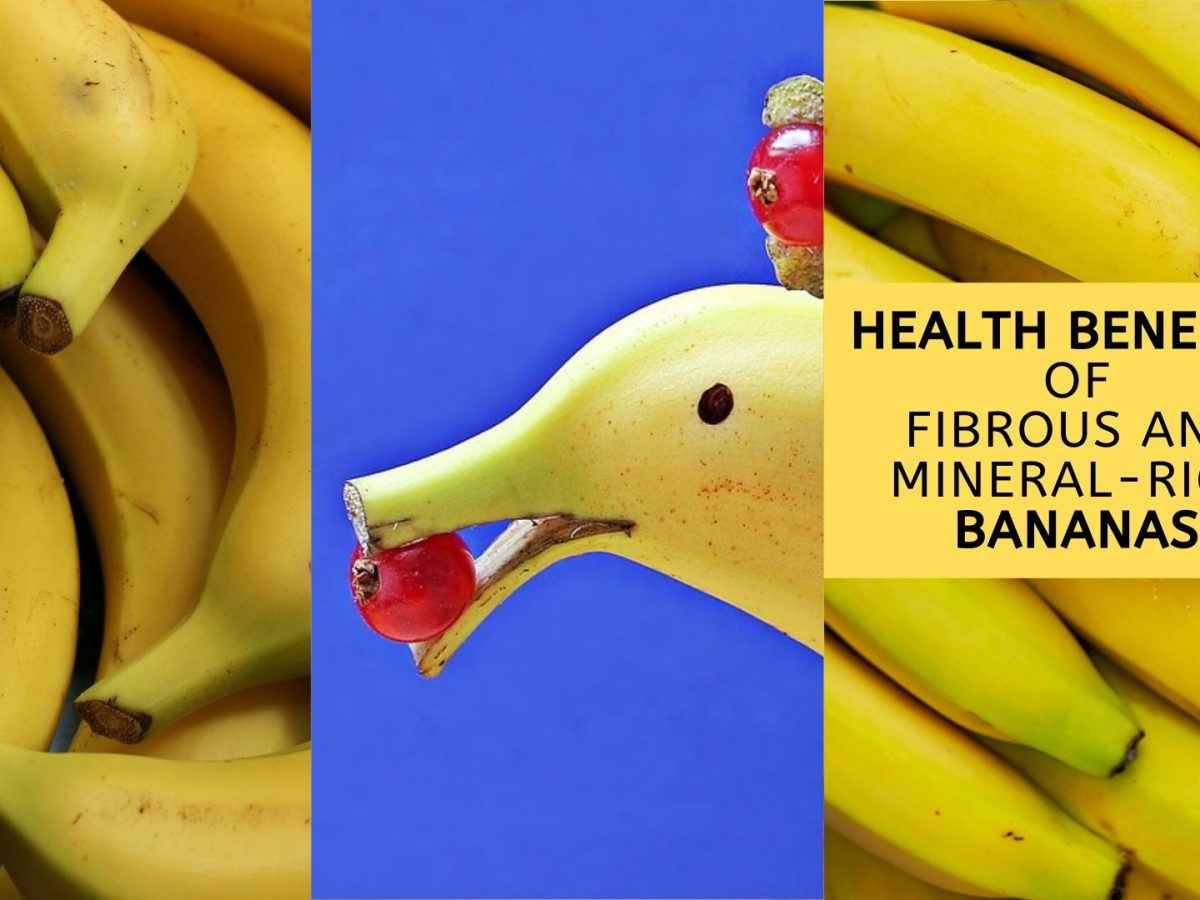 Health Benefits Of Fibrous And Mineral Rich Bananas Side Effects