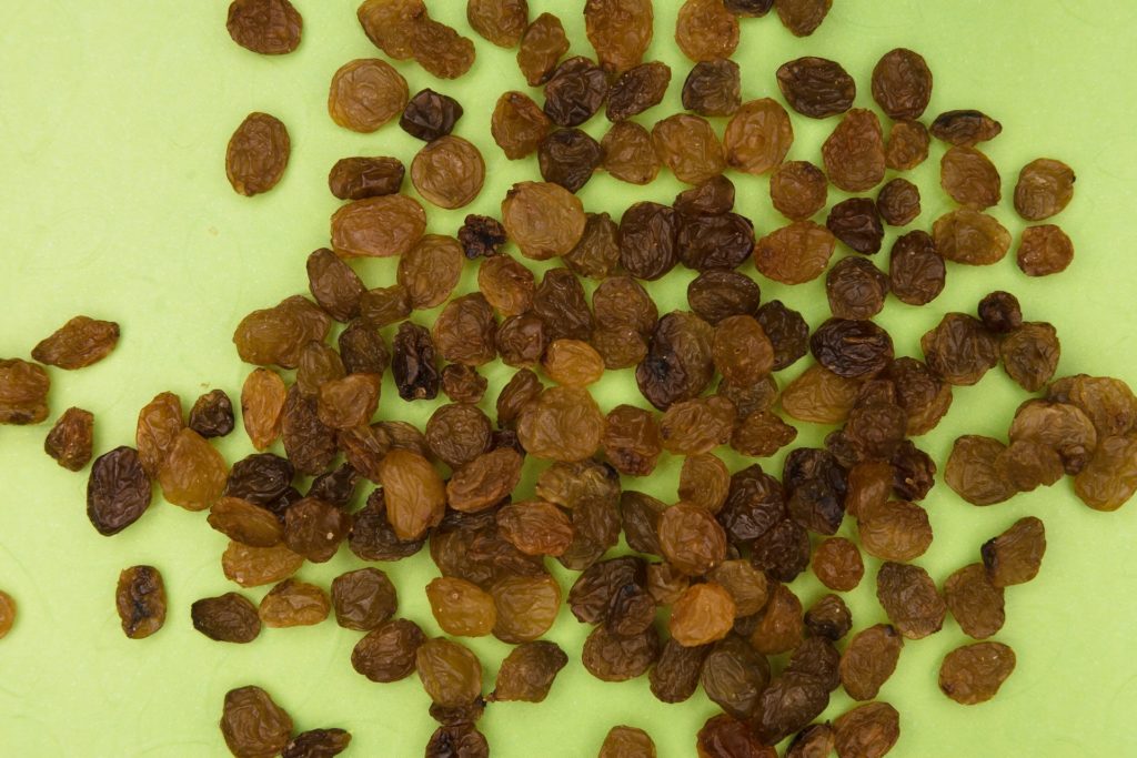 raisins spread on a green floor