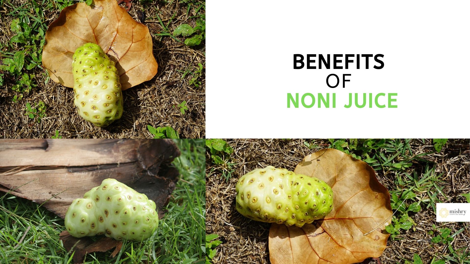 Amazing Benefits Of Noni Juice (Indian Mulberry) | Side Effects & How To  Make It