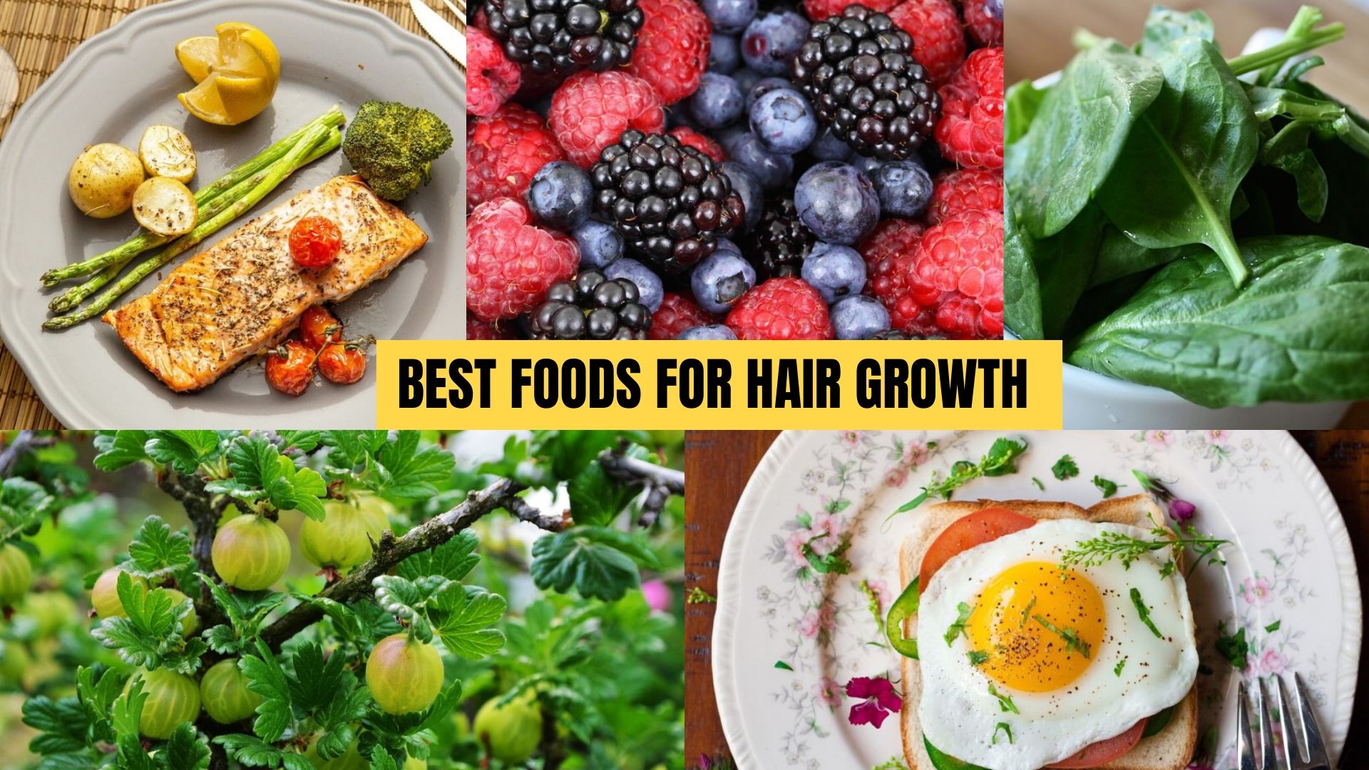 Best Foods For Hair Growth | What To Eat For Healthy Hair