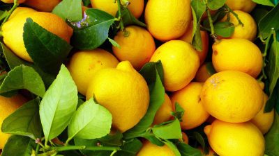 lemons as an air freshener