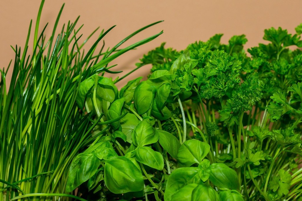 Which One Is Better For Your Kitchen: Basil Vs. Parsley