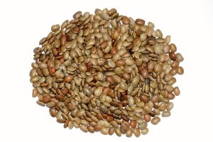 horse gram seeds