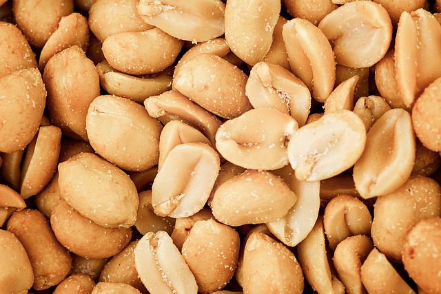 Are Salted Peanuts Good For You Salted Peanuts Benefits