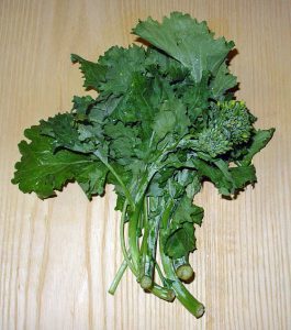 rapini leafy vegetable