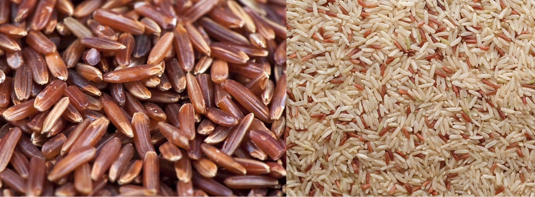 Empirisk rester Gøre klart Red Rice Vs. Brown Rice: Types, Difference & Benefits
