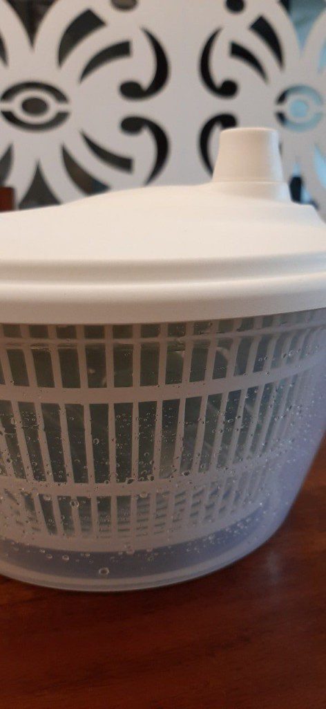 Ikea's Salad Spinner Is Perfect For Your Homemade Salads: Mishry Review