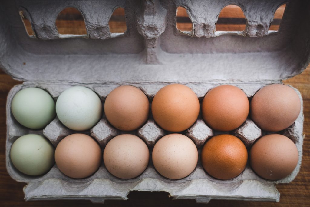 Best Egg Storage Box For Easy Storing