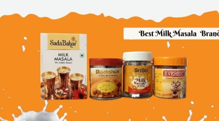 best milk masala brands in india