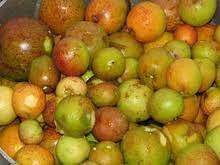 mangaba fruit