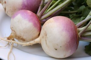 turnip vegetables