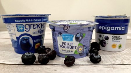 best blueberry yogurt brands in india