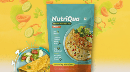 nutriquo protein pan'lette masala mix review