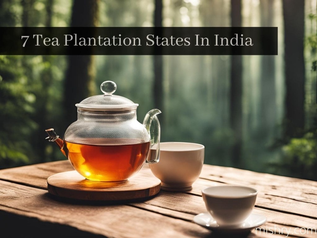 7 Tea Plantation States In India